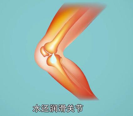 喝水對(duì)人體關(guān)節(jié)器官有什么作用？